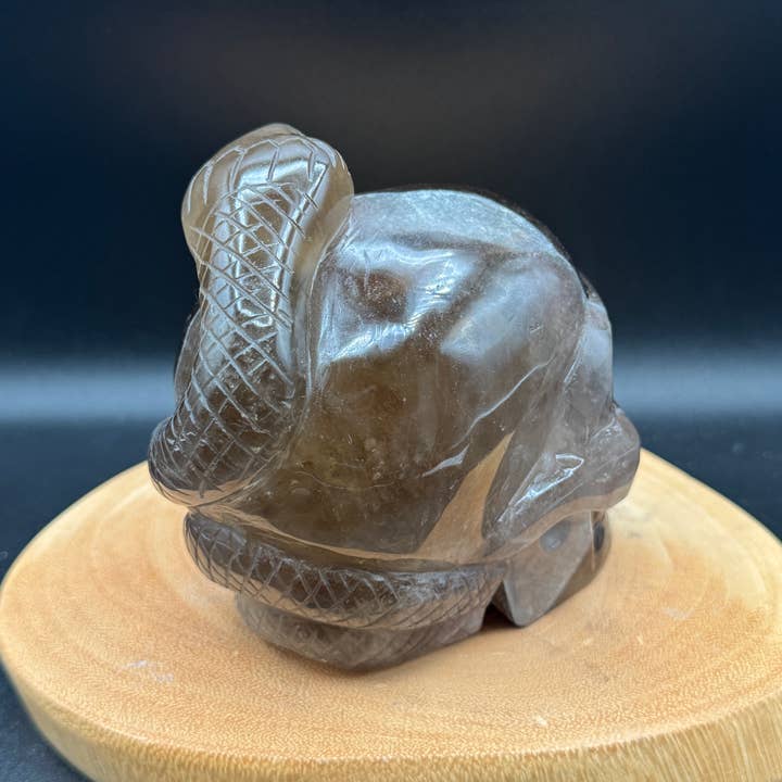 The 7 Directions - Wholesale Spiritual Stone/Crystal - 3.9 lb Unique Smoky skull w/ snake carving H365