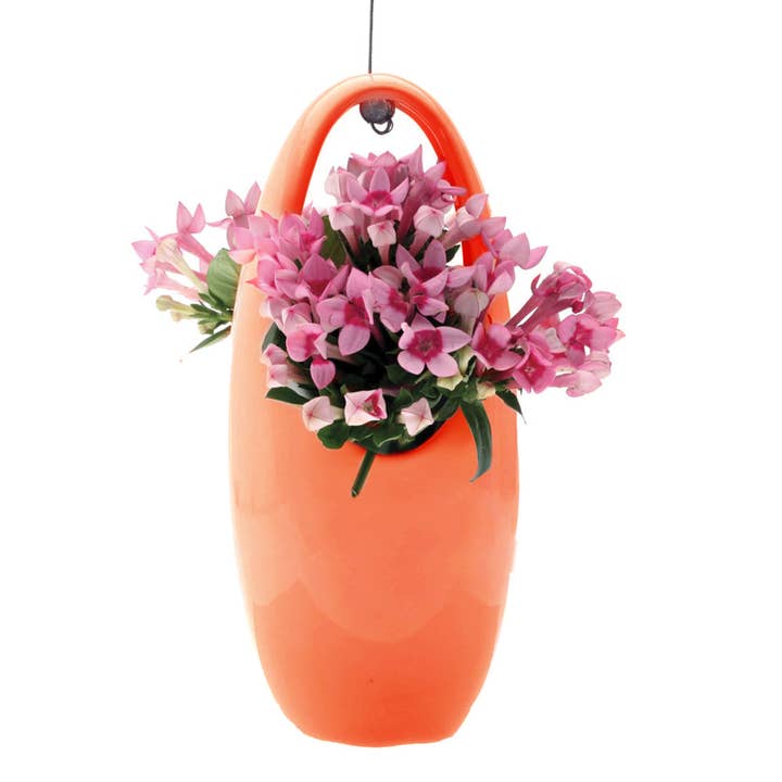 Chive - Vente Jardinière suspendue - Suspension pour plantes grasses8