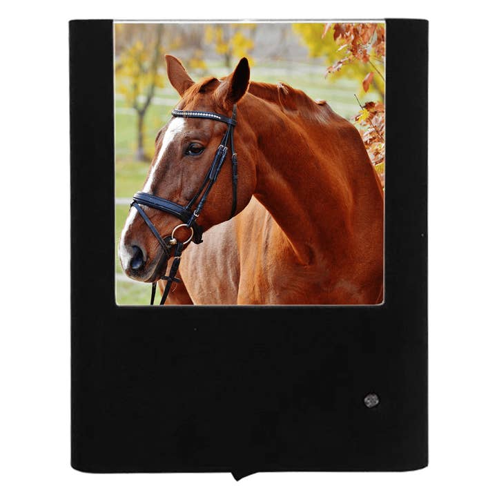 Autumn Horse for wholesale by Nightlight Studio