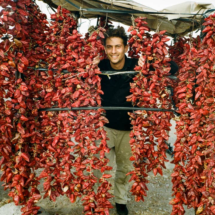 Lamiri Harissa - Wholesale Chili Paste - LAMIRI HARISSA 190g