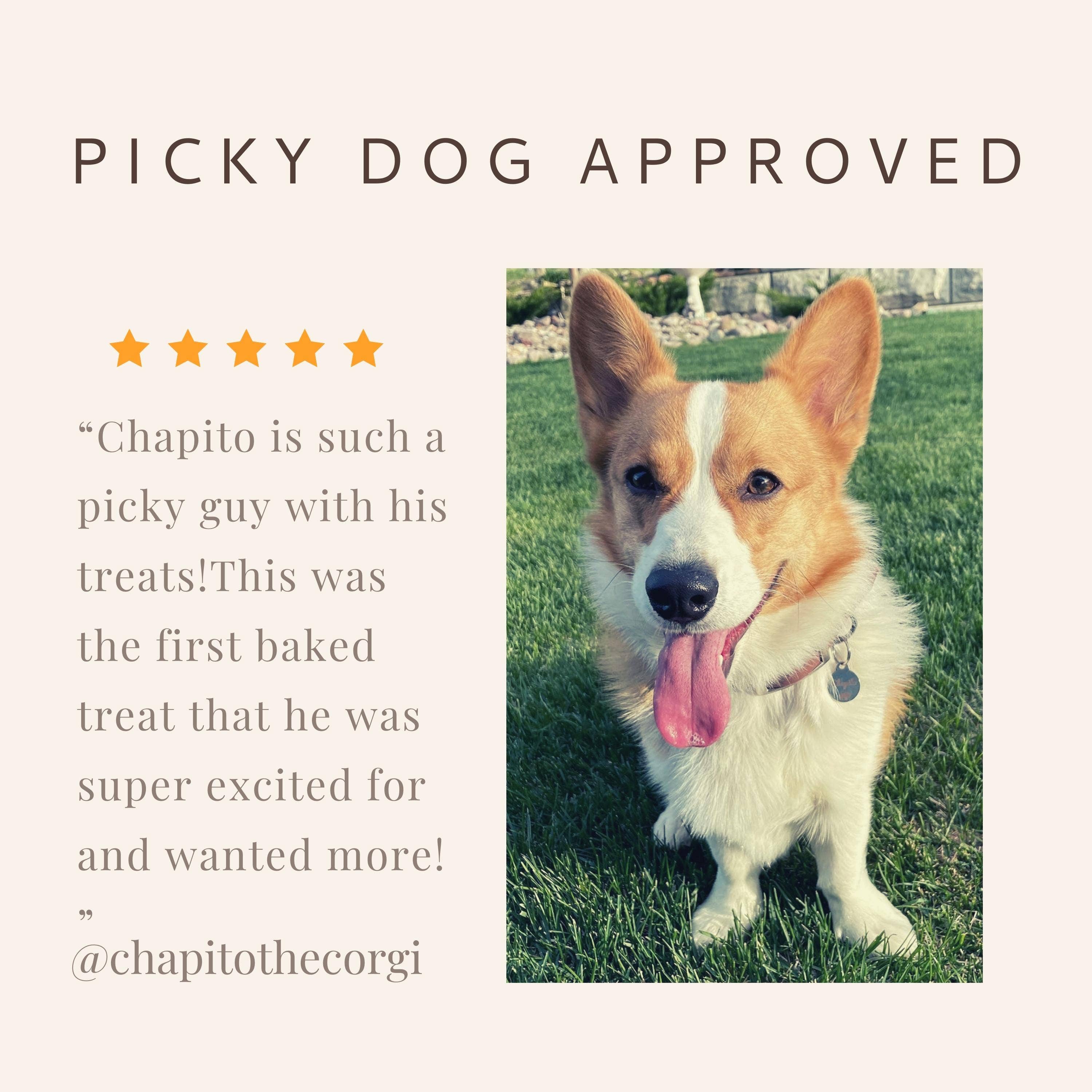 Botanical Bones - Wholesale Pet Treats - Dog - Balance + Calm Cookies - All Natural, Organic Dog Treats 8