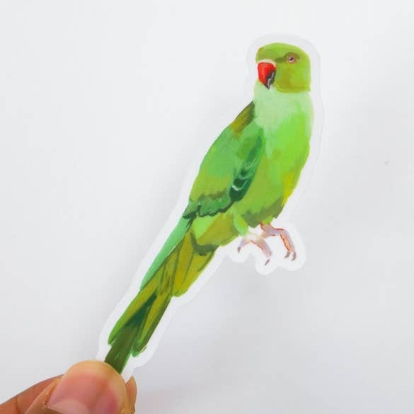 indian ringneck vinyl sticker decal matte - green indian ringneck parrot - transparent sticker bird weatherproof clear sticker for wholesale by Stephanie Missan Studio
