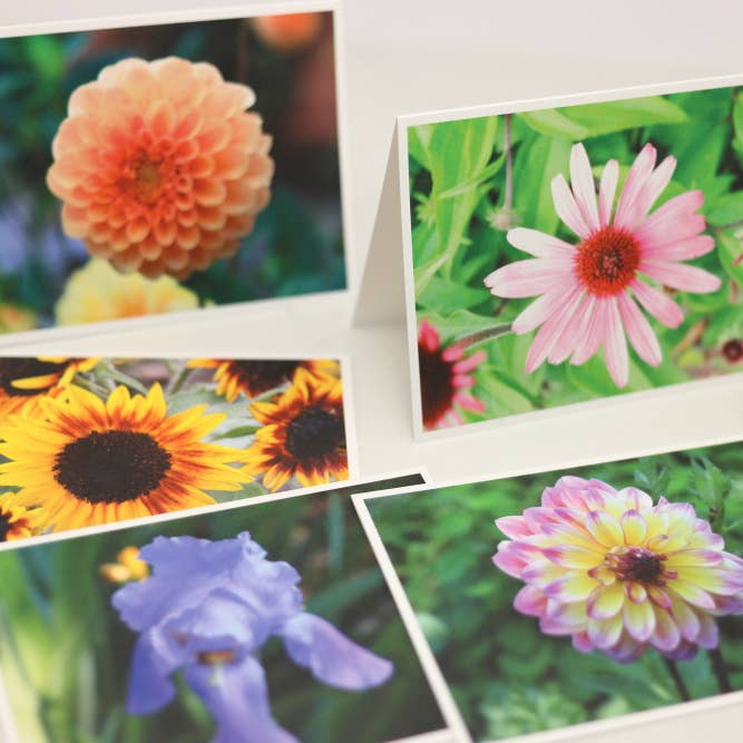 New England Prints - Wholesale Stationery/Notecard Set - Box of 5 All Occasion Summer Bloom Blank Note Cards4