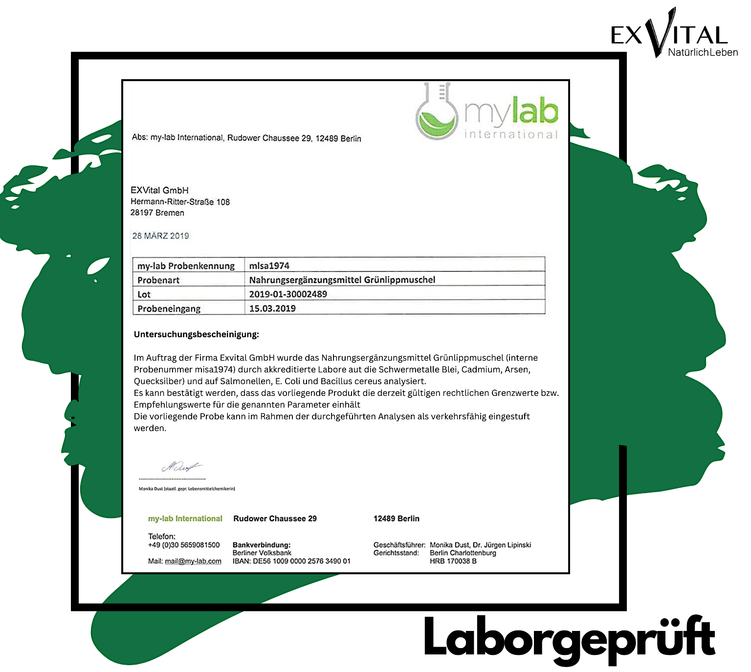 EXVital – Großhandel Nahrungsergänzungsmittel/Vitamin zum Einnehmen – Grünlippmuschel 300 Kapseln- hoch konzentriert7