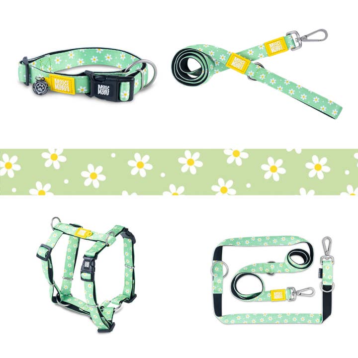 Marguerite collection - Max & Molly for wholesale by Only An Ocean Europe