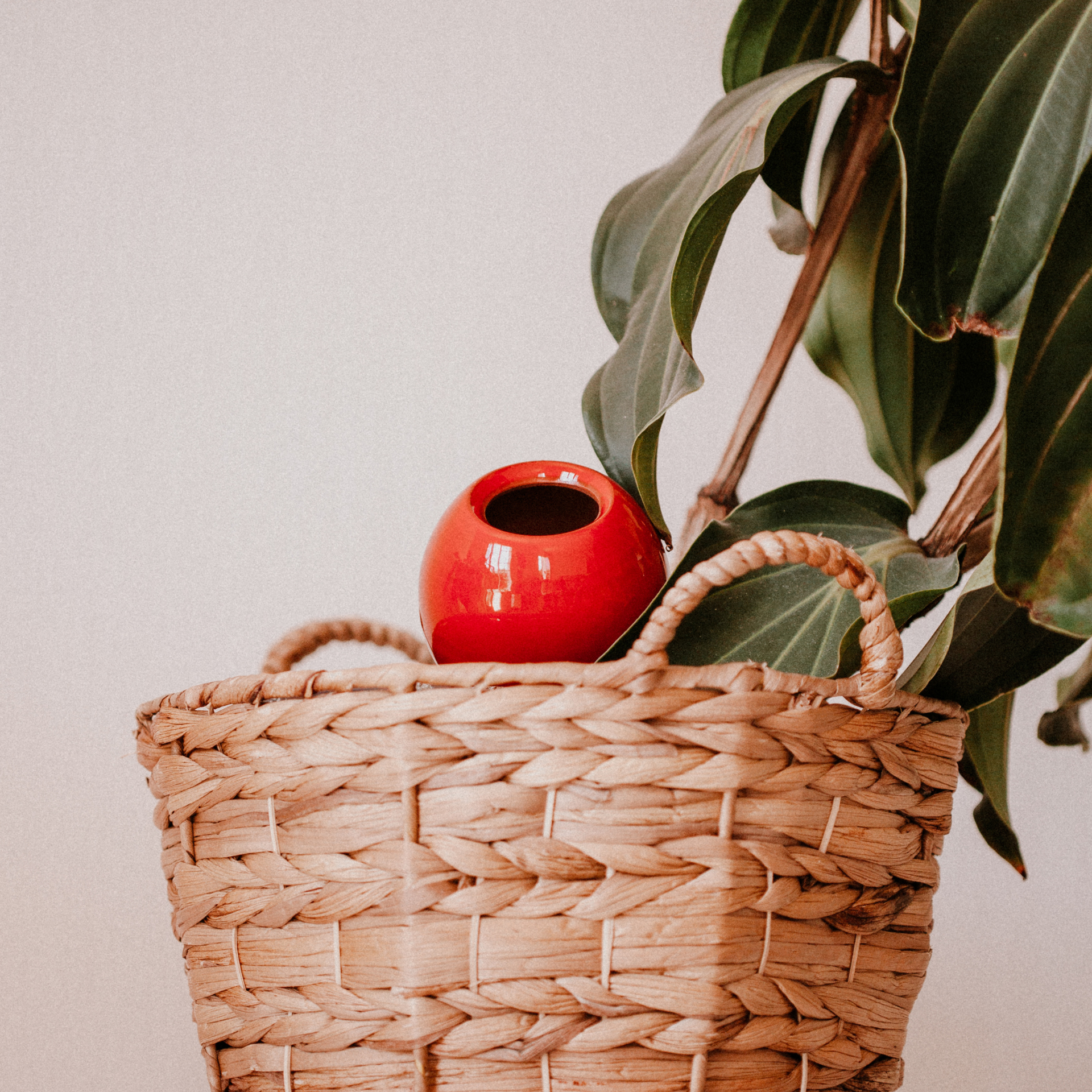 Poterie lutton - Wholesale Plant Pot - Mini Ollas to plant10