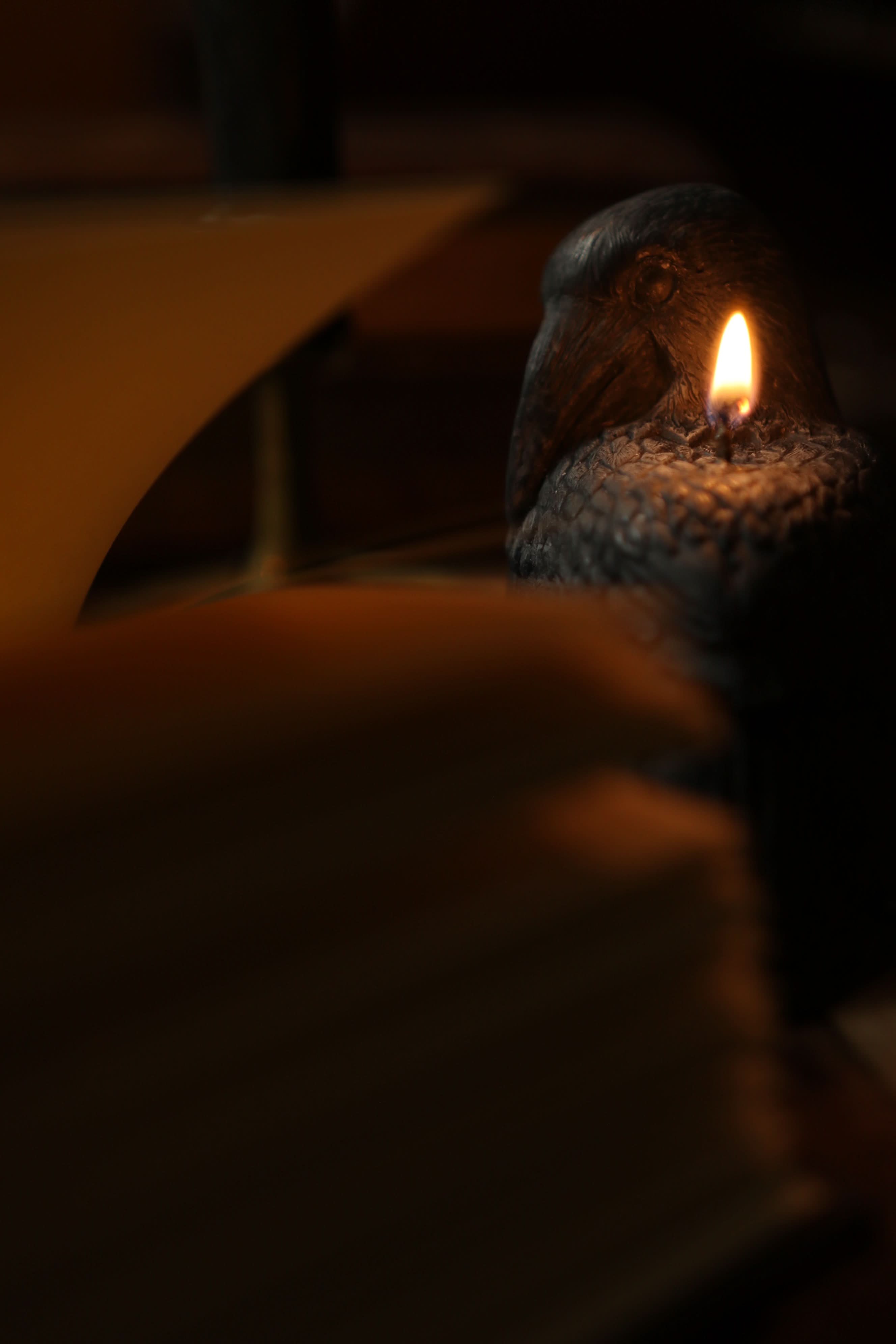 Novel Book Store - Vente Journal intime - Les œuvres poétiques complètes d'Edgar Allan Poe 1884 - Journal de lecture5