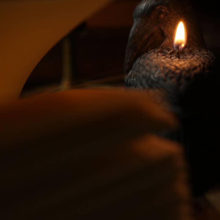 Novel Book Store - Vente Journal intime - Les œuvres poétiques complètes d'Edgar Allan Poe 1884 - Journal de lecture5