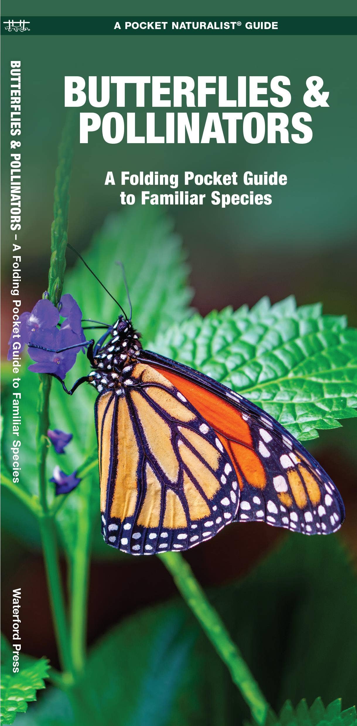 National Book Network - Wholesale Nature & Outdoors - Butterflies & Pollinators: A Folding Pocket Guide