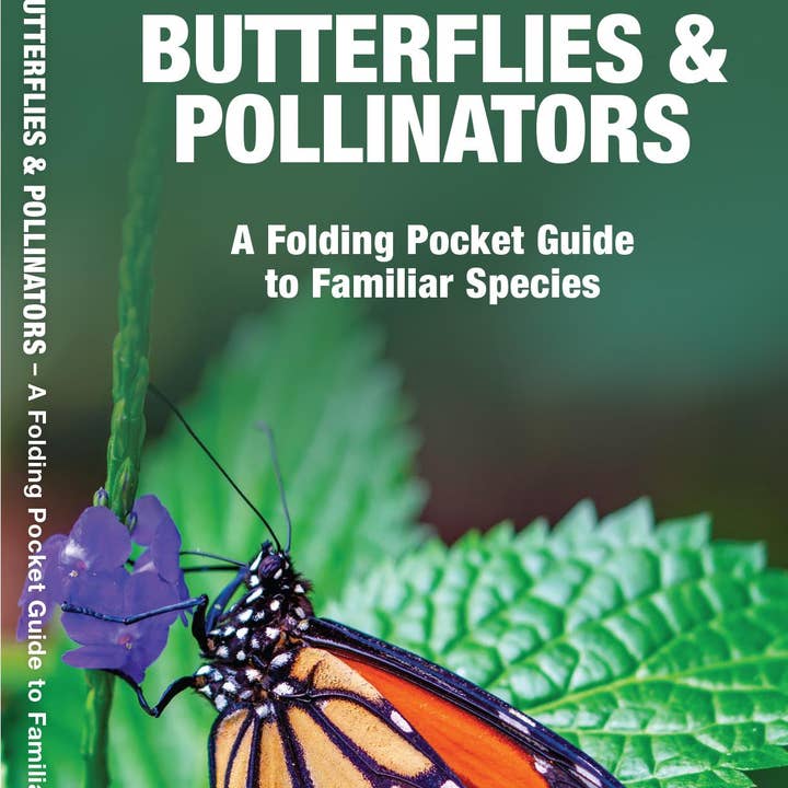 National Book Network - Wholesale Nature & Outdoors - Butterflies & Pollinators: A Folding Pocket Guide 0
