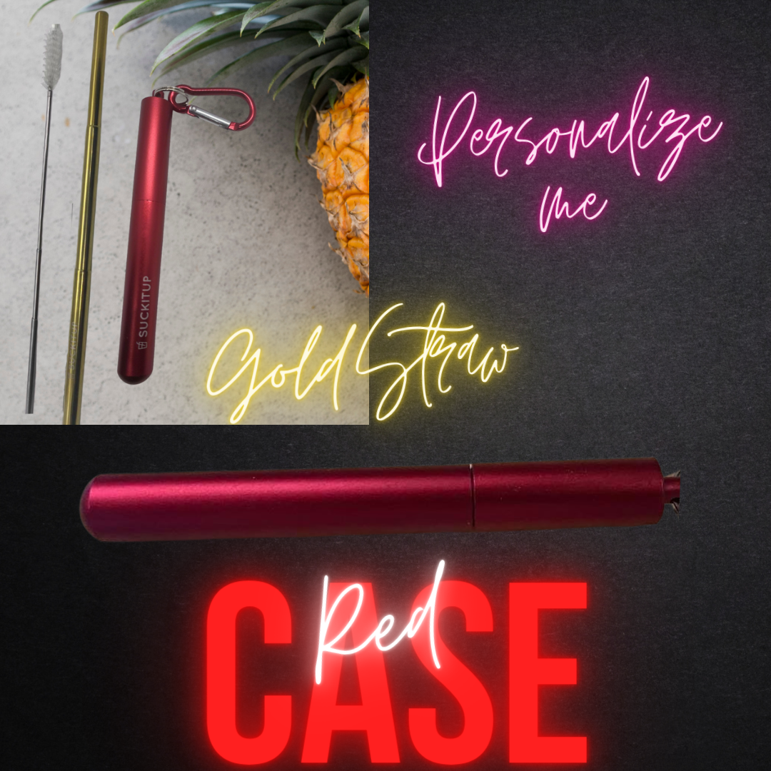 Suck It Up Straws - Vente Paille - Pailles métalliques télescopiques avec étui pour porte-clés et brosse de nettoyage4