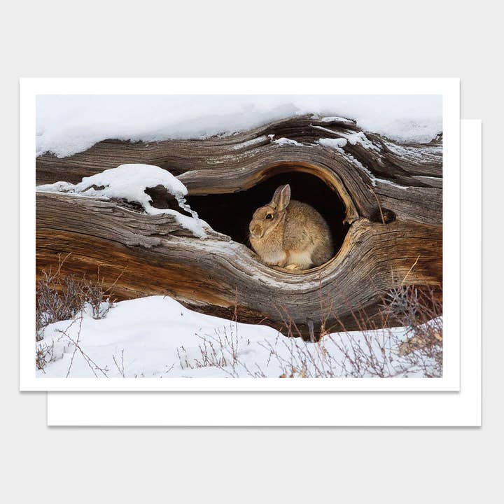 Cozy Mountain Home Christmas Greeting Card for wholesale by Palm Press