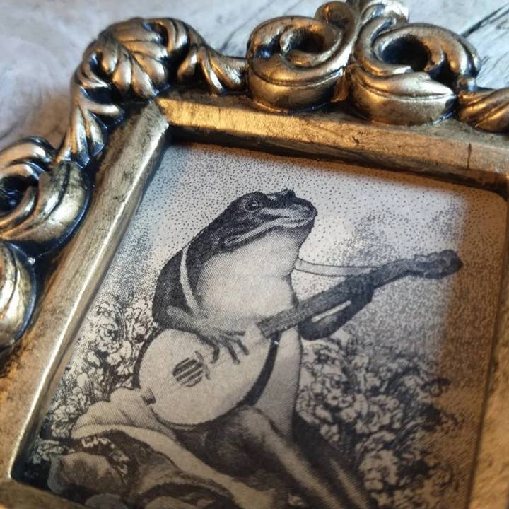 BoyPilot Goods - Wholesale Art Print - Mini Vintage Framed Animal Prints - Raccoon, Frog, Cat6