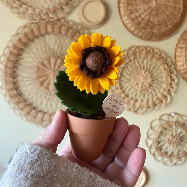 ForgetBKnot - Wholesale Artificial Flowers - “Thanks for Helping me Grow”
Handmade Felt Flowers