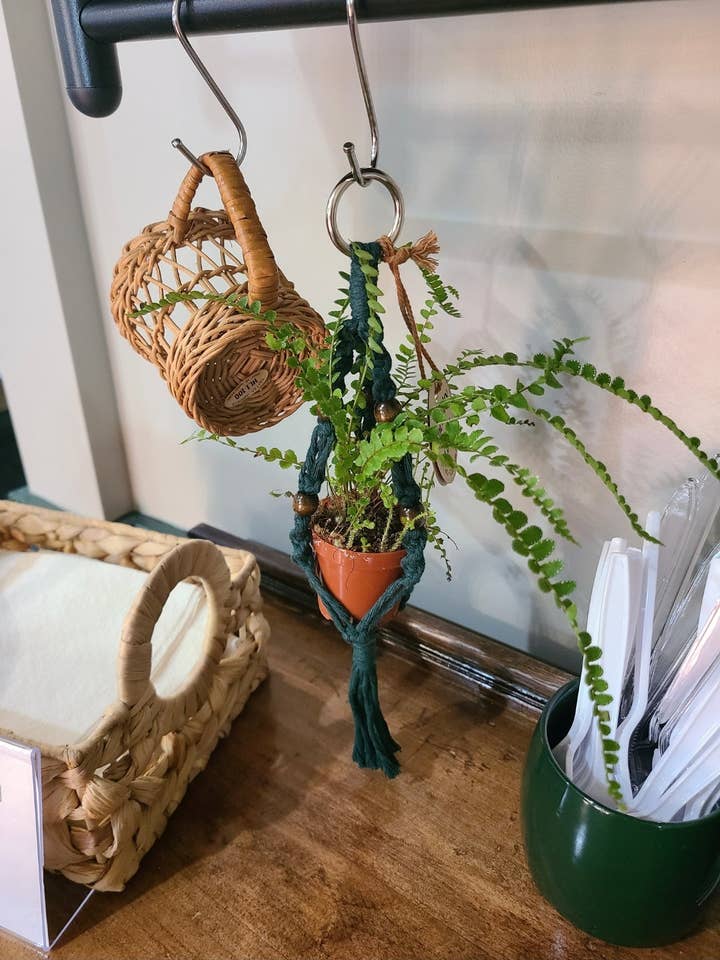 Mini Plant Hangers for wholesale by Macramé Mouse
