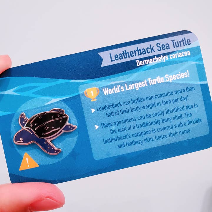 Informative Enamel Pin: Leatherback Sea Turtle for wholesale by Umvvelt LLC