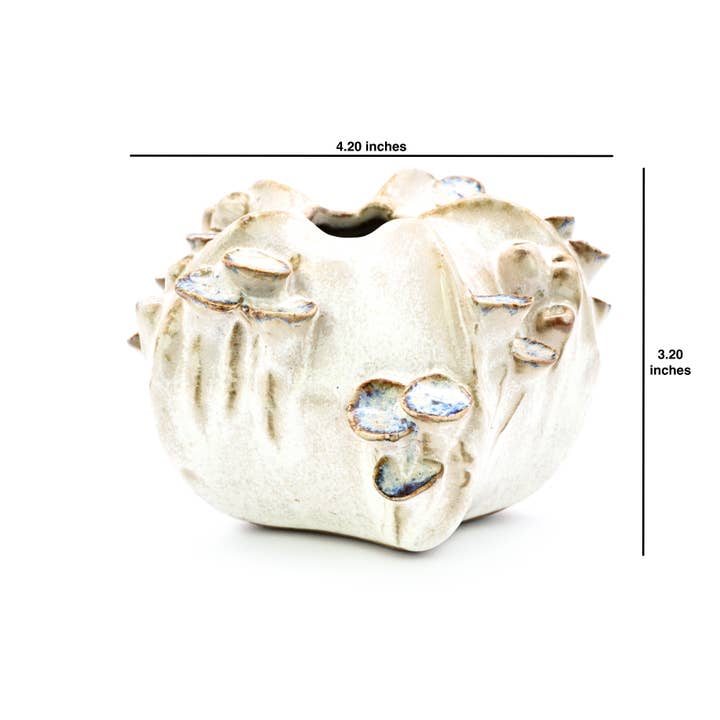 Art Floral Trading LLC - Wholesale Vase - SRI195EFFP Coral with mushroom ceramic vase milk and purple 1