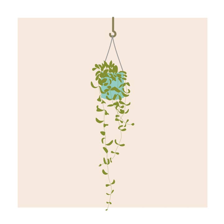 Hanging Plant, Long - 8"x8" art print for wholesale by Trellis & Tide