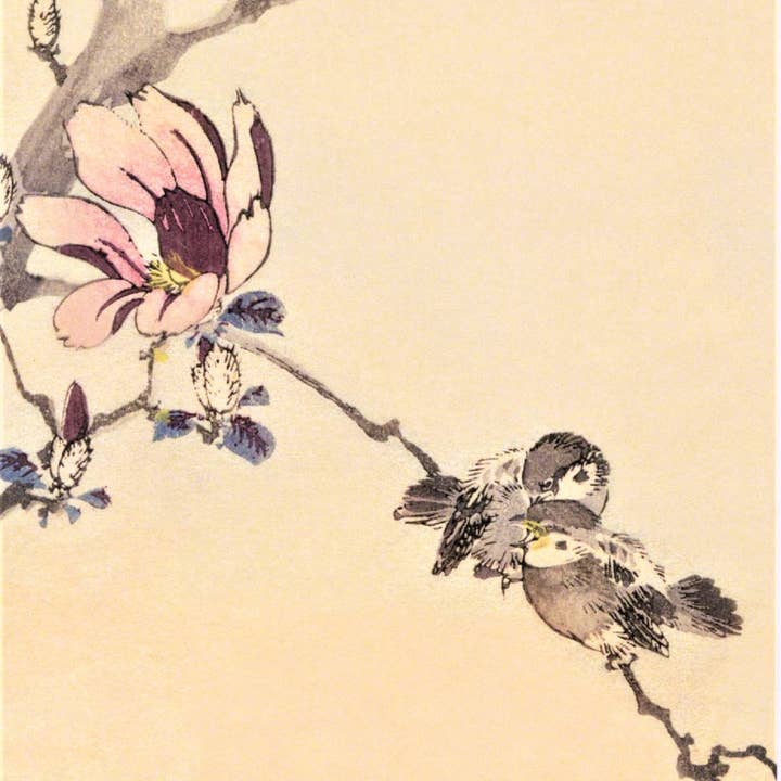 CATCH 12X12 CARTES DOUBLES NC 34765 pour la vente par Phenicia