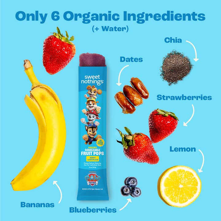 Sweet Nothings - Wholesale Fruit Snacks - Berry Lemonade Squeezable Fruit Pops - Freeze At Home1
