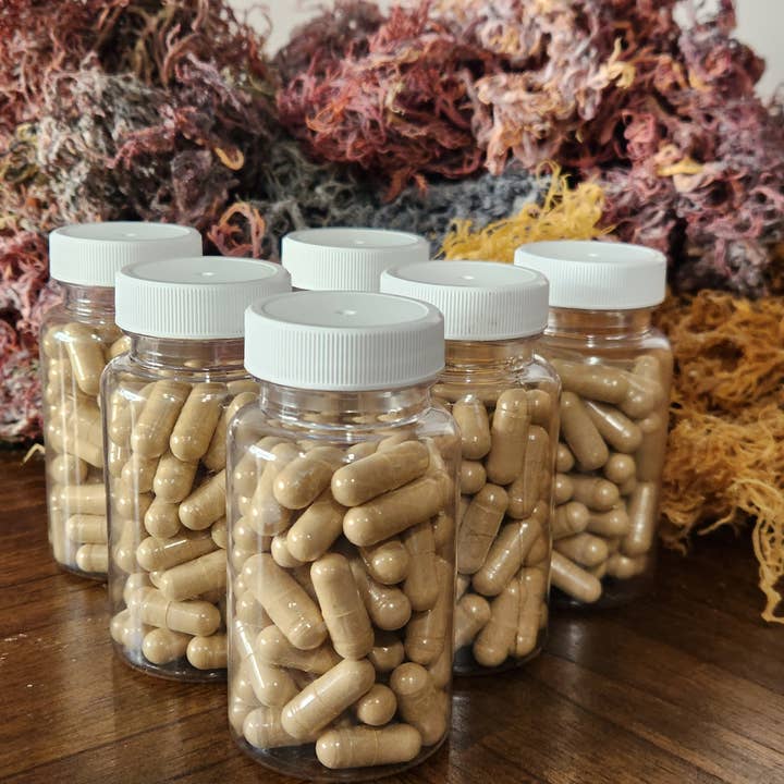 Sea Moss Organics LLC - Wholesale Oral Supplement/Vitamin - Sea Moss| Bladderwrack | Burdock Root 60 Capsules1