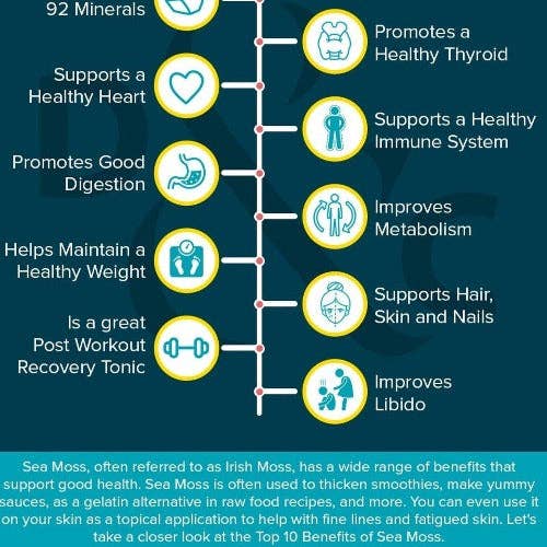 WHOLIFECO – Engroshandel Kosttilskud og vitaminer – Havmos Gel - Neutral & Vildhøstet1