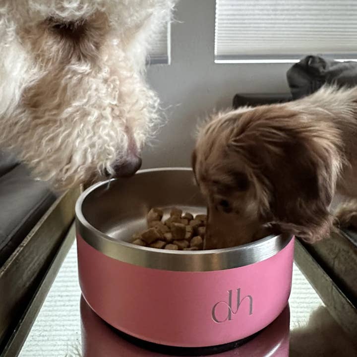 Doodle Heads - Venta al por mayor Comedero - Gatos y perros - Cuenco para comida y agua DH «YETI STYLE» con forma de cabeza de doodle, cuenco de acero inoxidable de primera calidad para mascotas