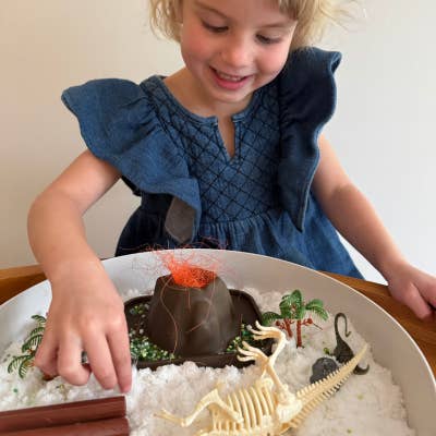 Tray Play Bundle - Dino for wholesale by Jellystone Designs