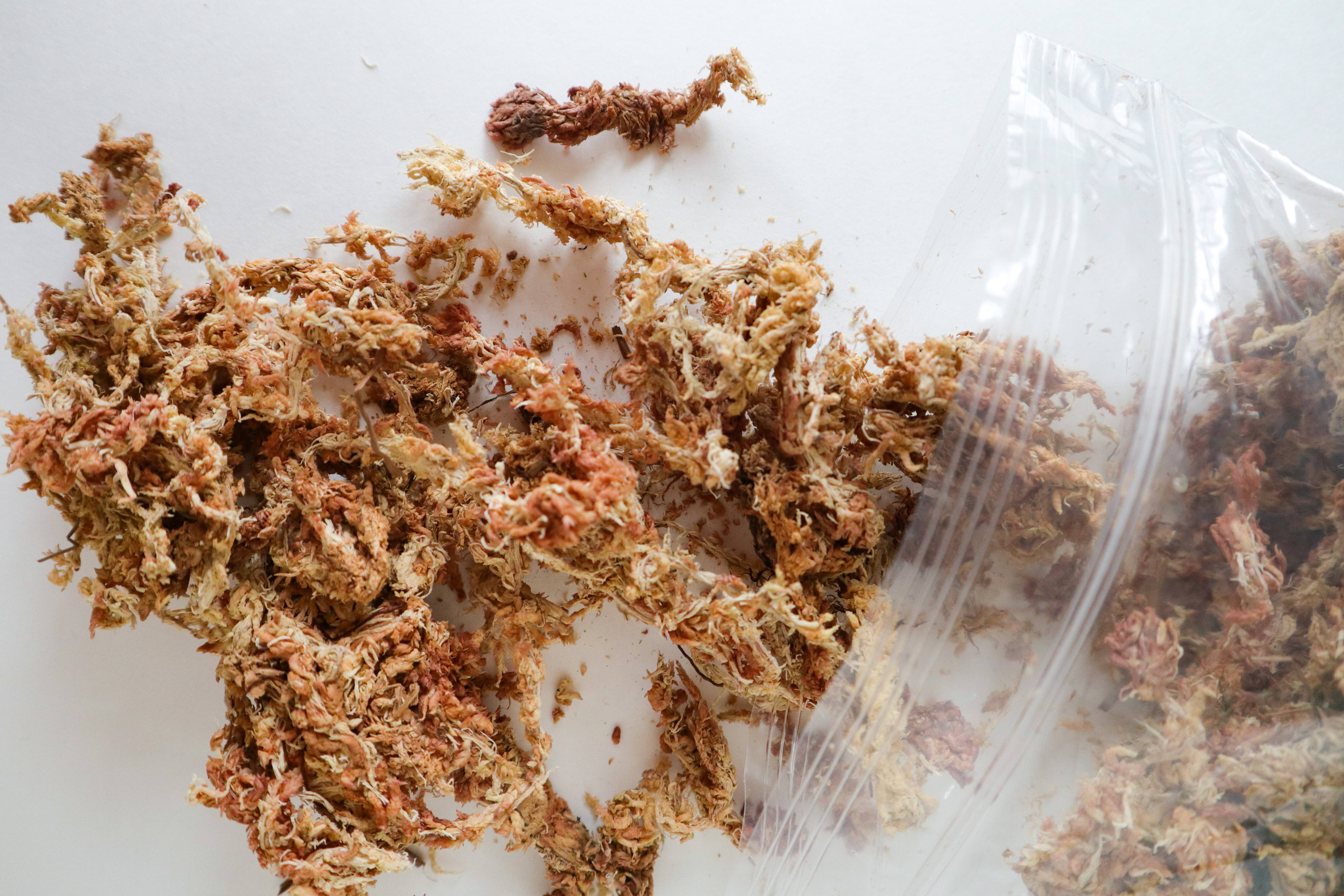 The Plant Supply - Wholesale Planting/Potting Soil - Sphagnum Moss | Moss for Plants, Orchids, Propagation1