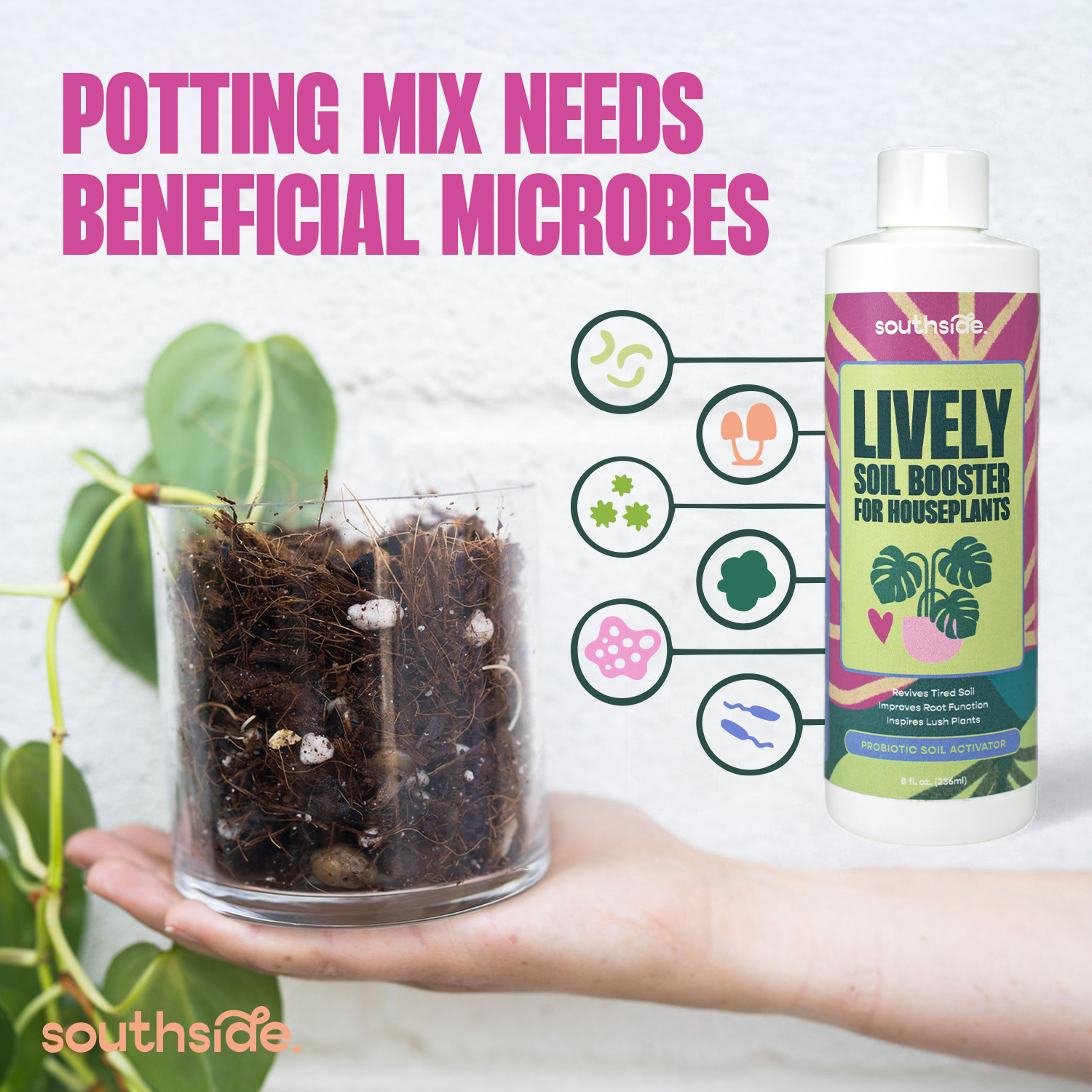 Southside. - Wholesale Fertilizer - Lively Soil Booster for Houseplants2