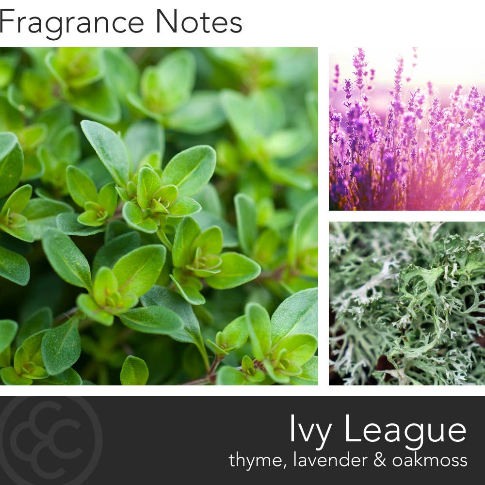 MVP Group International INC - Wholesale Jar/Filled Candle - Manly Indulgence Classic Ivy League, 16.5 oz1