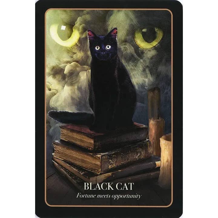U.S. Games Systems Inc. - Wholesale Tarot Cards - The Halloween Oracle