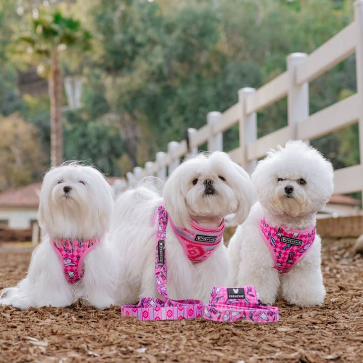 Frenchie - Wholesale Pet Harness - Dog - Frenchie Duo Reversible Harness - Wild West- Pink