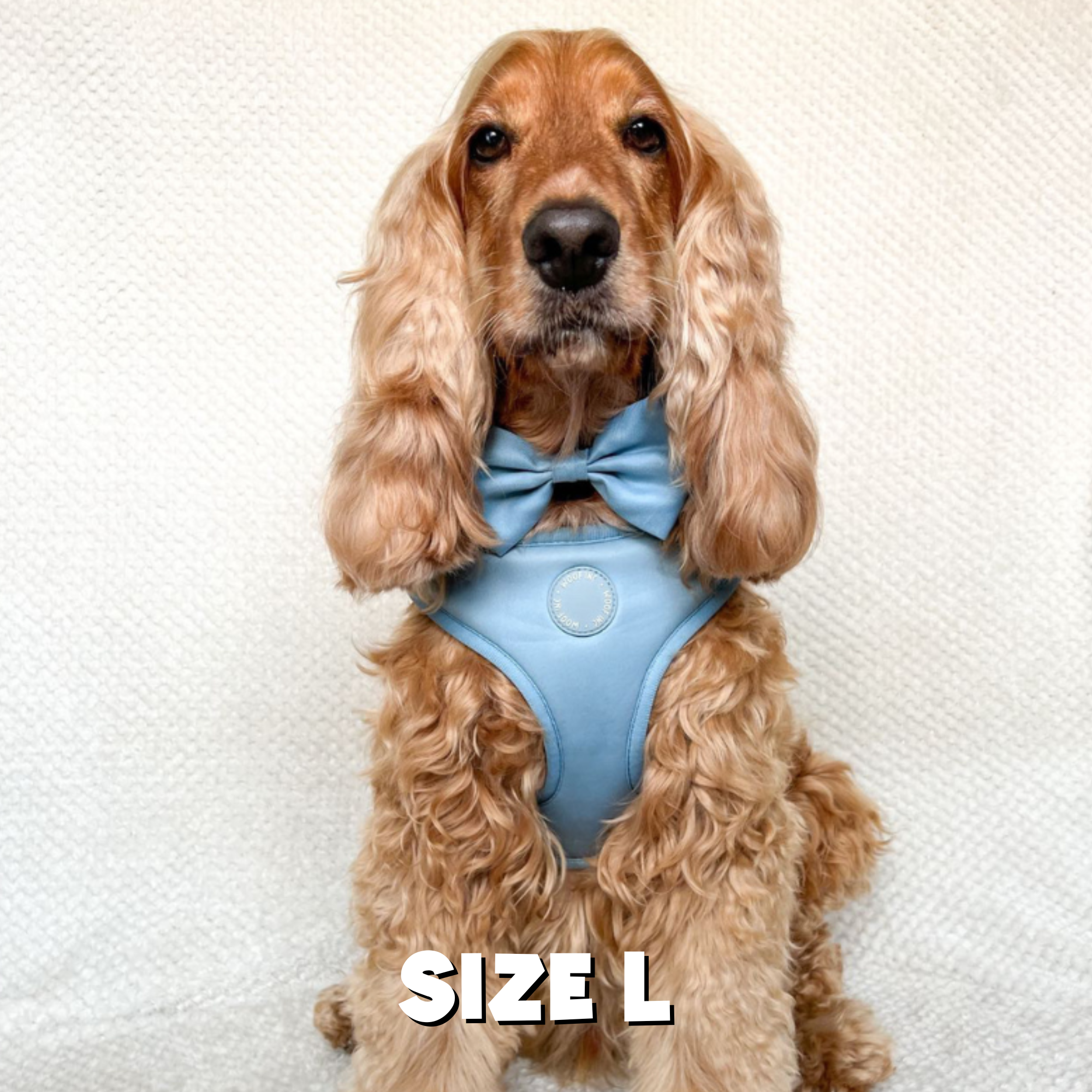 WOOF INC - Wholesale Pet Harness - Dog - Dusty Blue Adjustable Dog Harness6