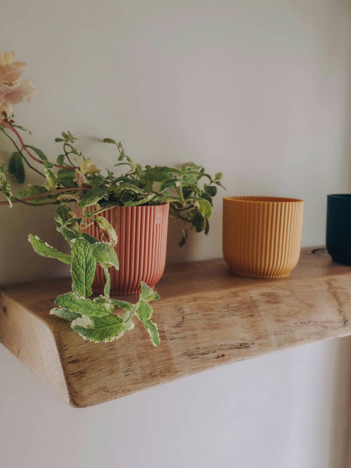 Live Edge Wooden Shelf for wholesale by COSWYK