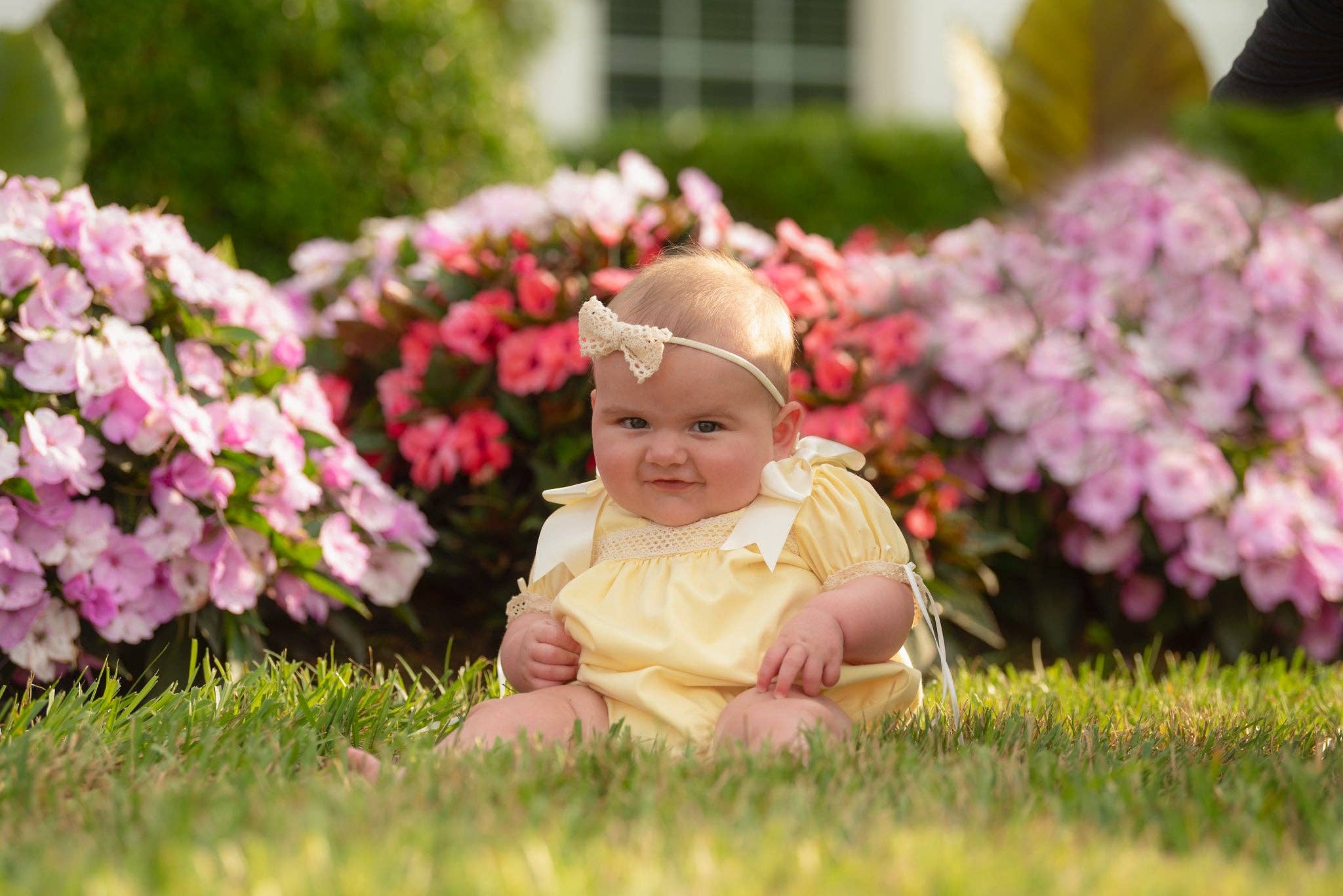 Posh Pickle - Wholesale Bodysuit (Non-Footed) - Baby - Bristol Yellow Heirloom Bubble6