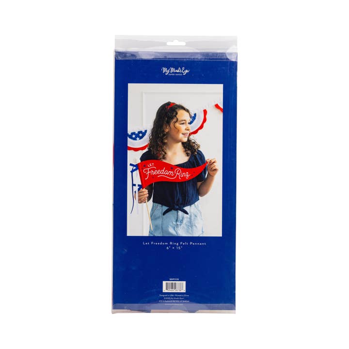 My Mind’s Eye - Wholesale Party Sign/Banner - SSP1115 - Let Freedom Ring Felt Pennant Banner6