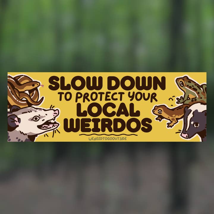 Slow Down Bumper Sticker for wholesale by weneedtogooutside