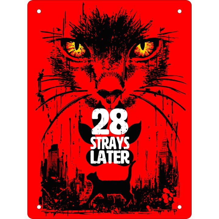 Grindstore - Vendita all'ingrosso Cartello da parete - Gatti Horror 28 Randagi Dopo Mini Insegna di Latta