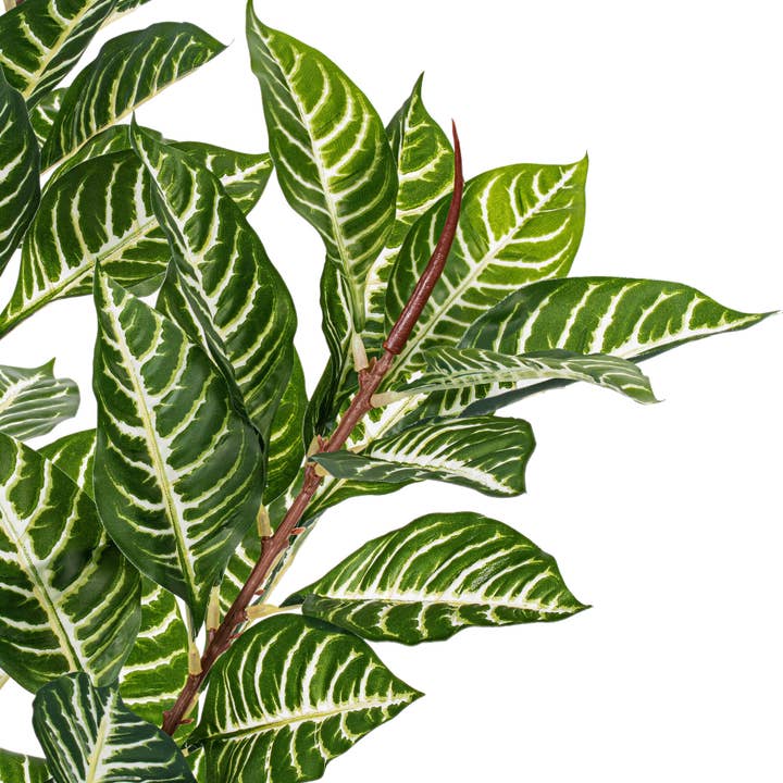 Vickerman 35" Artificial Green Real Touch Zebra Plant. for wholesale on Faire2