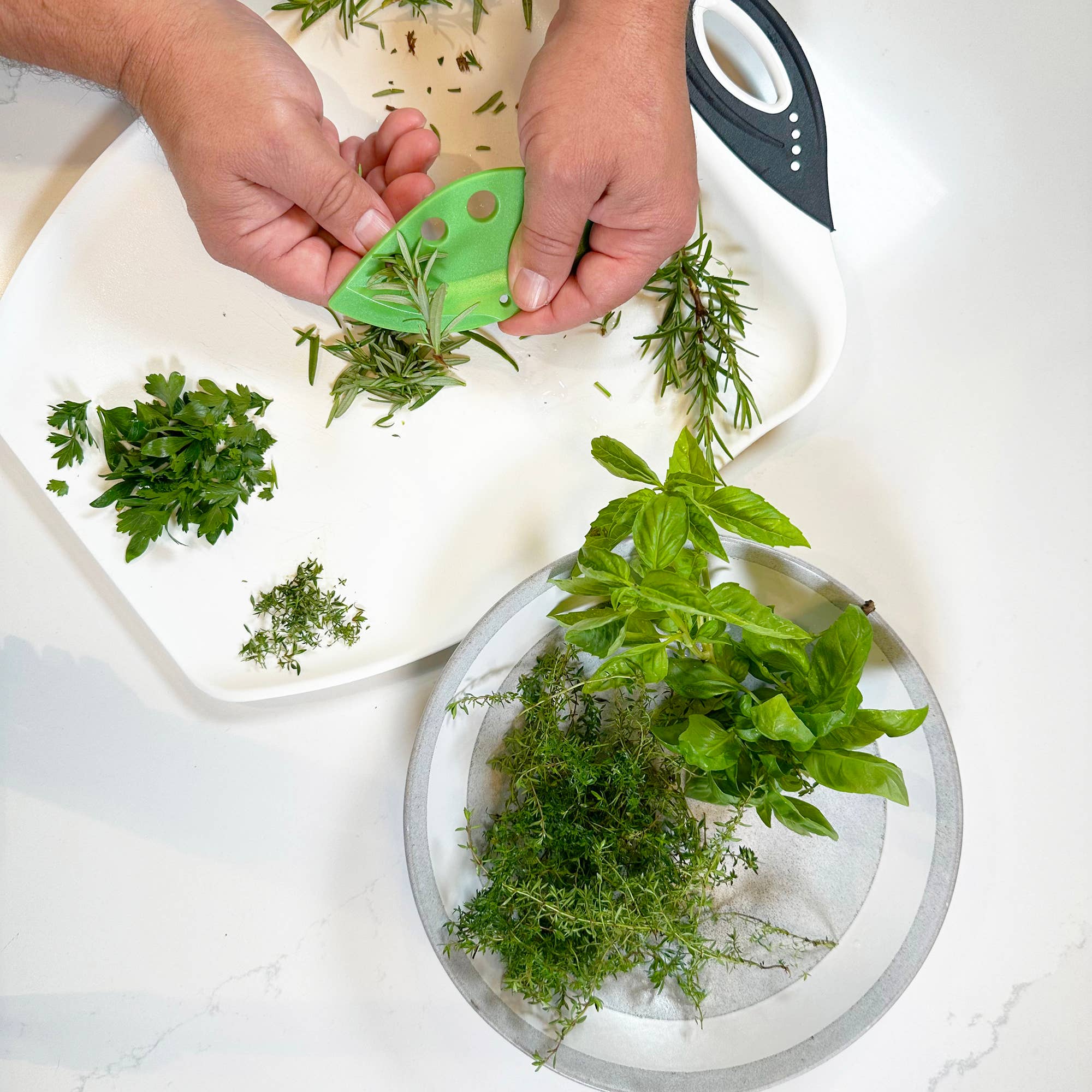 R&M International - Wholesale Kitchen Tool/Gadget - Herb Stripper Bucket /404