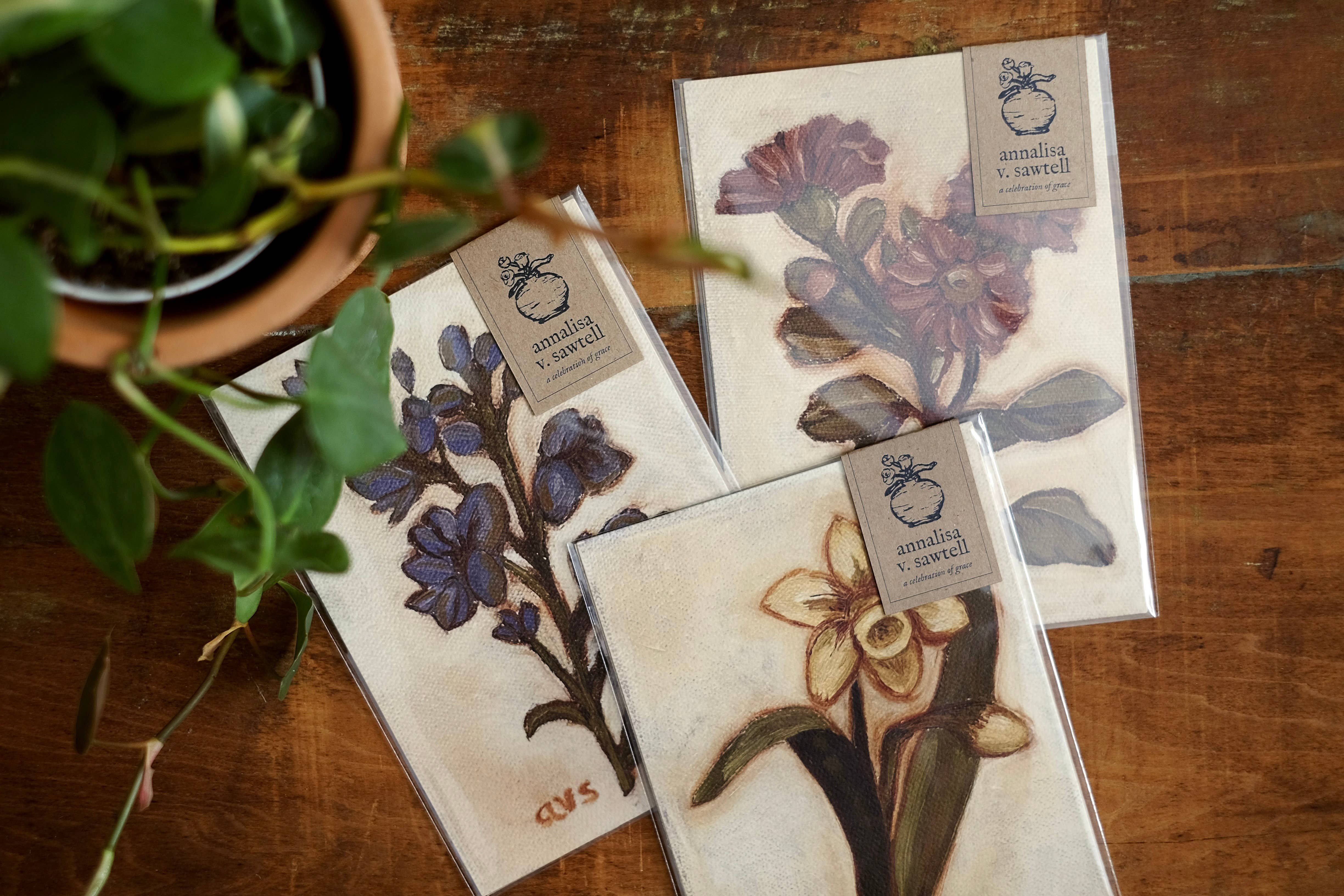 annalisa v. sawtell - Wholesale Art Print - January Birth Flower Fine Art Print | Carnation | 5x74