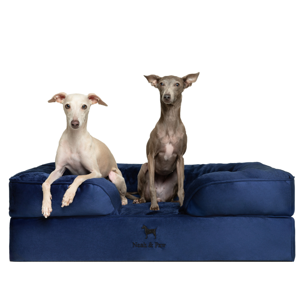 NOAH AND PAW LLC - Wholesale Bed voor huisdieren- Kat/hond - Velvet orthopedisch hondenbed met memoryfoam en verkoelende gel20