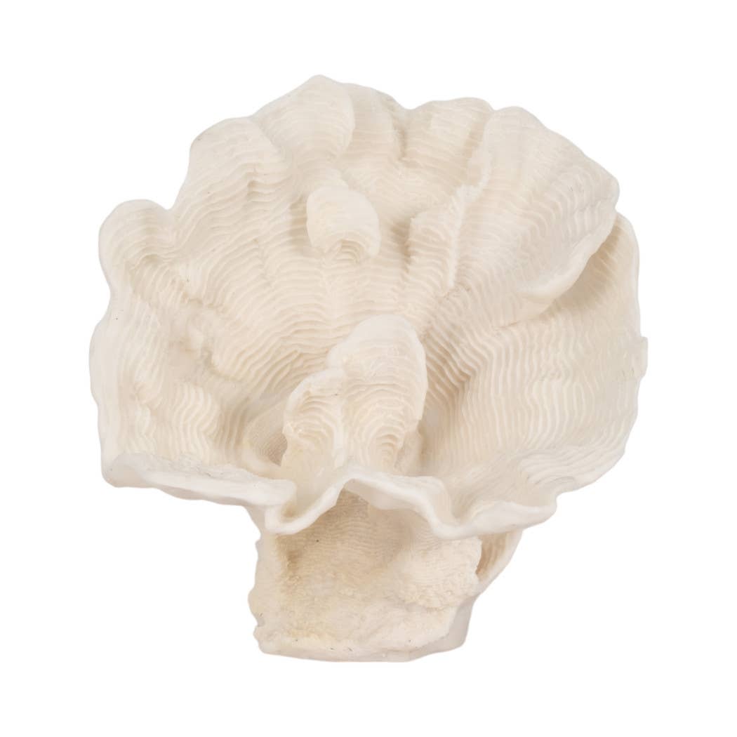 Sagebrook Home - Wholesale Decorative Figurine - Decorative Figurine - Ivory Resin Coastal Coral Fan, 12 in.3
