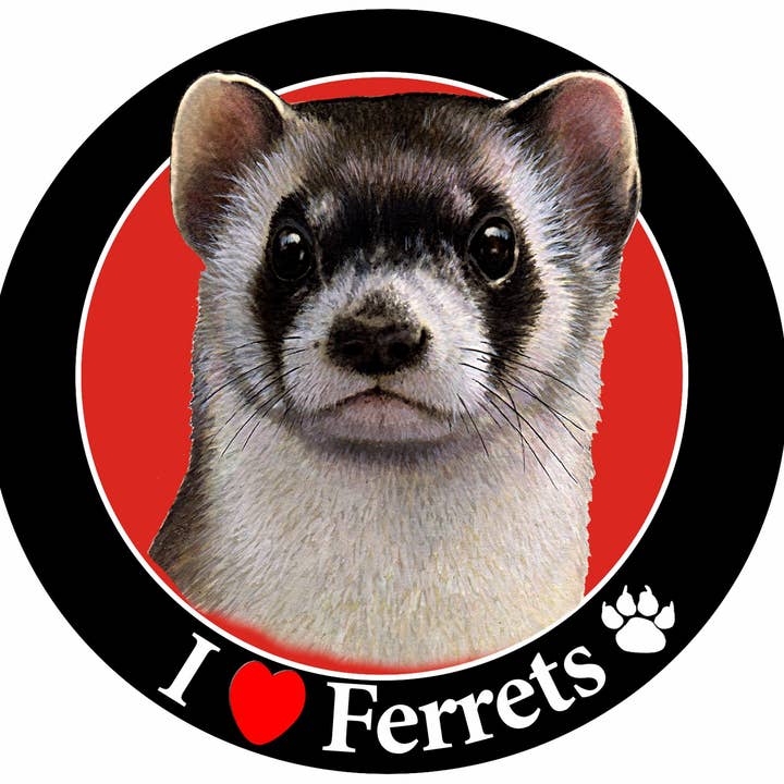 Imanes de círculo de hurones para venta al por mayor de E&S Pets