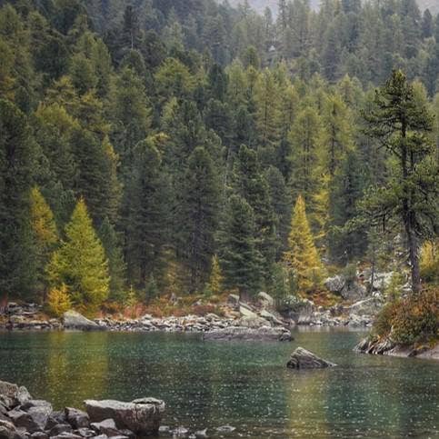 Zia Zensations Inc. - Wholesale Fragrance Oil - Resort Series Premium Fragrance Oils13