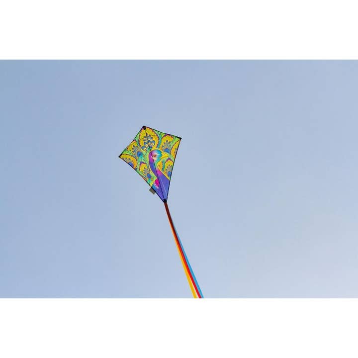 HQ Kites & Designs - Wholesale Vlieger - Ecoline Eddy Pauwstaartvlieger 28"4