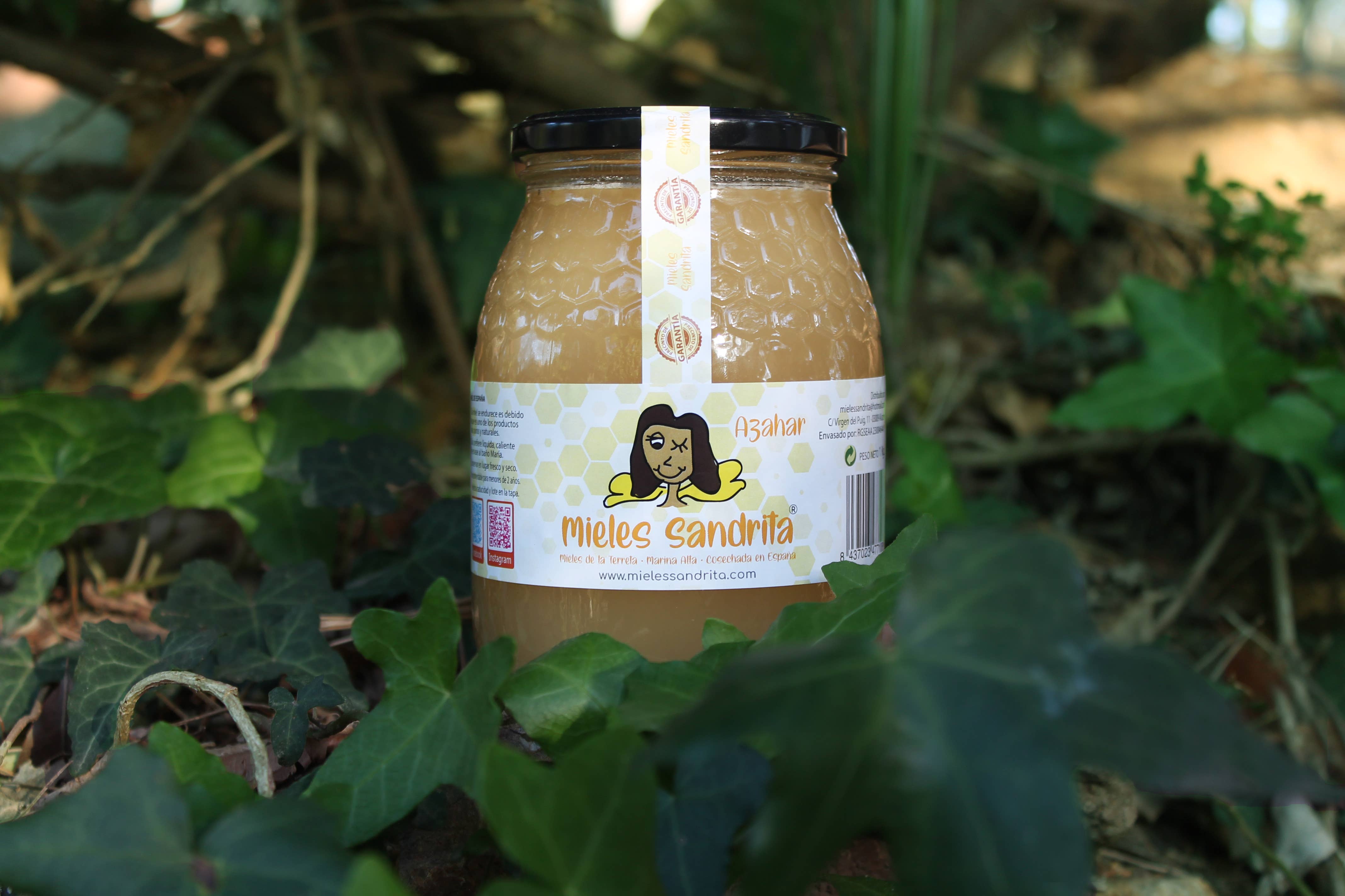 Mieles Sandrita - Wholesale Honey - Orange Blossom Honey 1 Kg1