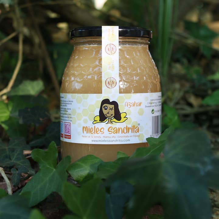 Mieles Sandrita - Wholesale Honey - Orange Blossom Honey 1 Kg1
