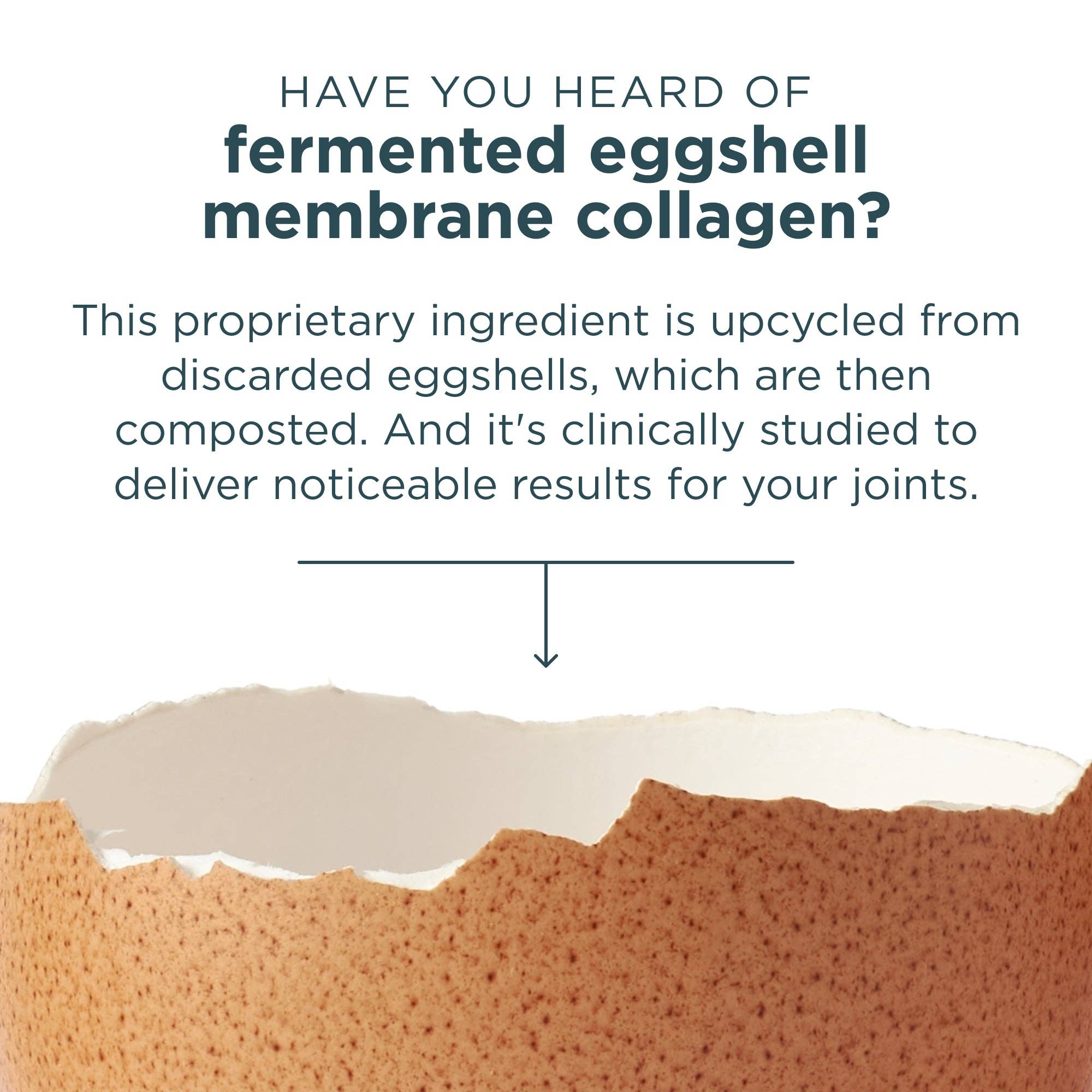 Black Multi Collagen Protein | Powder Chocolate (40 Servings) for wholesale on Faire5